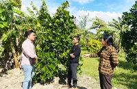 Đại diện các hộ dân trao đổi ý kiến với phóng viên trên thửa đất khai hoang và sử dụng hợp pháp từ năm 1979 đến nay, nhưng chưa được cấp CNQSDĐ.
