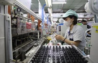 Nhu cầu việc làm xanh đang trở thành xu hướng của nhiều ngành kinh tế. Ảnh: ILO