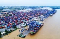 Cảng Cát Lái chiếm hơn 55% thị phần khai thác container xuất nhập khẩu của cả nước.