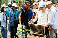 Du lịch sinh thái đang thu hút nhiều khách hàng. Ảnh: SONG ANH