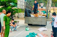Lực lượng chức năng Lào Cai bắt giữ hơn 3 tấn thực phẩm "bẩn" nhập lậu. (Ảnh: THANH TUẤN)