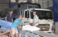 Thị trường xuất khẩu gạo đang khá trầm lắng.