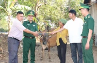 Thượng tá Rơ Lan Ngân, Phó Chính ủy Bộ đội Biên phòng tỉnh Đắk Lắk cùng đại diện các đơn vị trao tặng bò sinh sản cho bà H’Nhem Ê Ban tại xã biên giới Krông Na, huyện Buôn Đôn.