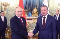 Tổng Bí thư Tô Lâm hội đàm hẹp với Tổng thống Nga Vladimir Putin. (Ảnh: TTXVN)