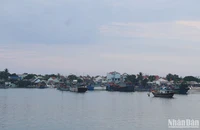 Quảng Nam tổ chức cấm biển kể từ 7 giờ ngày 25/9, đến nay, nhiều tàu thuyền đã vào nơi trú ấn.