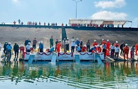 Thả 100 nghìn con cá giống xuống lòng hồ Thủy điện Sông Tranh 2