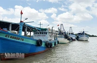 100% tàu cá Sóc Trăng đã lắp đặt thiết bị giám sát hành trình
