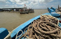 Tàu cá hoạt động tại cảng cá Trần Đề.