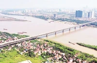 Khai thác hợp lý đất nông nghiệp vùng bãi nổi