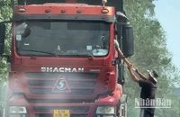 Ngang nhiên thu tiền xe tải tại đường Suối Sao 2, ấp Lộ Đức, xã Hố Nai 3, huyện Trảng Bom, tỉnh Đồng Nai.