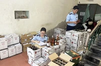 Cán bộ Cục Quản lý thị trường tỉnh Quảng Bình kiểm tra tem nhãn rượu không rõ nguồn gốc bị thu giữ. (Ảnh: Hương Giang)