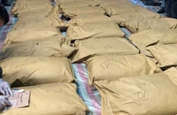 Tang vật trong vụ bắt giữ 750kg ketamine, ngụy trang trong "vỏ bọc" bao xi-măng tại quận Hồng Bàng, Hải Phòng, tháng 9/2023. (Ảnh: Hải quan Online)