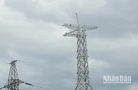 Thi công kéo dây trên cao tại vị trí cột trên địa bàn huyện Nam Đàn, tỉnh Nghệ An. (Ảnh: TRUNG HƯNG)