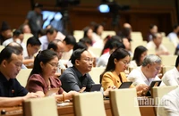Các đại biểu Quốc hội làm việc tại hội trường, sáng 19/6. (Ảnh: DUY LINH)