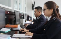 Hoạt động nghiệp vụ tại Chi cục Hải quan cửa khẩu cảng Hòn La, Cục Hải quan Quảng Bình. (Ảnh: haiquanonline.com.vn)