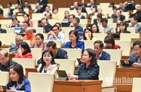 Quốc hội thảo luận ở hội trường về Đề án bổ sung về phát triển kinh tế-xã hội năm 2025 với mục tiêu tăng trưởng đạt 8% trở lên. (Ảnh: DUY LINH)