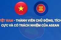 [Infographic] Những đóng góp của Việt Nam trong 30 năm gia nhập ASEAN