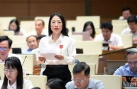 Đại biểu Trần Khánh Thu (Đoàn Thái Bình) phát biểu. (Ảnh: DUY LINH)