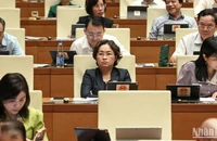 Các đại biểu Quốc hội làm việc tại hội trường, sáng 16/6/2025. (Ảnh: BÙI GIANG)