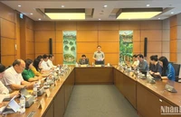Quang cảnh phiên thảo luận Tổ 10 của Quốc hội, chiều 16/5/2025. (Ảnh: TRUNG HƯNG)