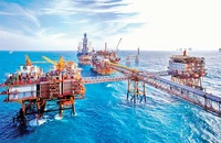 Khai thác dầu khí trên mỏ Bạch Hổ.