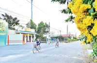 Hai bên đường làng Bạch Đằng là những hàng hoa rực rỡ được người dân chăm sóc hằng ngày. (Ảnh THỦY NGUYÊN)