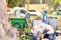 Công nhân Công ty Môi trường đô thị Hà Nội thu gom rác thải trên phố Bà Triệu. (Ảnh LÊ MINH)
