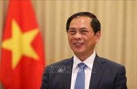 Phó Thủ tướng Chính phủ, Bộ trưởng Ngoại giao Bùi Thanh Sơn. Ảnh: TTXVN.