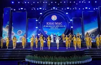 30 thí sinh xuất sắc nhất lọt vào vòng chung kết.