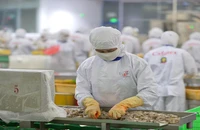 Xuất khẩu thủy sản sang Trung Quốc được kỳ vọng tăng trưởng mạnh trong năm 2024.