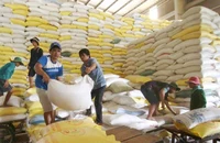 Năm 2025, các doanh nghiệp xuất khẩu gạo sẽ gặp nhiều khó khăn do nguồn cung tăng.