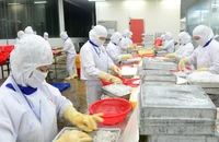Thủy sản Việt Nam là một trong những mặt hàng có mặt tại hệ thống bán lẻ trên nhiều quốc gia trên thế giới. (Ảnh: ĐỨC AN)