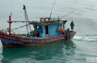 Tàu cá QB-11670 TS có hành vi khai thác hải sản không đúng vùng quy định.