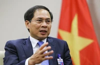Bộ trưởng Ngoại giao Bùi Thanh Sơn. (Ảnh: TTXVN)