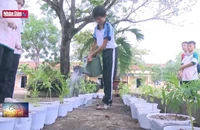 Phong trào Kế hoạch nhỏ, ý nghĩa lớn dịp Tết đến xuân về