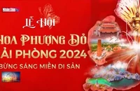 Lễ hội Hoa Phượng đỏ 2024