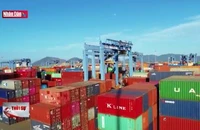 Cụm cảng Cái Mép lọt top 7 thế giới