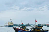 Phát triển kinh tế biển ở Quảng Nam tuân thủ các quy định chống khai thác IUU