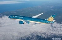 Trong quý III/2023, Vietnam Airlines Group khai thác gần 40 nghìn chuyến bay, vận chuyển hơn 6,5 triệu lượt khách, trong đó 1,8 triệu lượt khách quốc tế, tăng gấp hai lần so với cùng kỳ năm 2022.