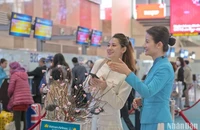 Vietnam Airlines mong muốn được đồng hành cùng với khách hàng “mang Tết về nhà”.