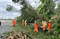 Lực lượng bảo trì, khai thác tuyến đường cao tốc Hạ Long-Vân Đồn đã huy động phương tiện và nhân lực ráo riết khắc phục sự cố trong bão gió, đến đêm 7/9, tuyến đường đã lưu thông trở lại.