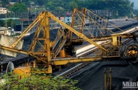 Năm 2024, sản lượng than sạch thành phẩm của TKV đạt 38,36 triệu tấn, đạt 102,6% kế hoạch đầu năm, sản lượng than tiêu thụ hơn 46 triệu tấn.