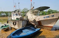 Hai tàu kiểm ngư đang phải nằm bờ gần một tháng nay.