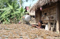 Bản Khe Búng và bản Cò Phạt có tổng số 243 hộ thì có đến 235 hộ nghèo, chiếm tỷ lệ 96,7%.
