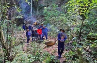 Cán bộ, nhân viên Đội quy tập, Bộ Chỉ huy Quân sự tỉnh Nghệ An di chuyển hài cốt liệt sĩ về nơi thờ tự. (Ảnh: Đội quy tập cung cấp)