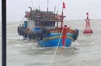 Tàu cá mang số hiệu QB 91414TS được lai dắt vào bờ.