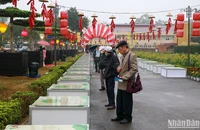 Đường thơ tại Ngày thơ Việt Nam 2023. (Ảnh: NHẬT QUANG)