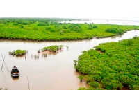 Vườn quốc gia Xuân Thủy (huyện Giao Thủy, Nam Định) sẽ được xây dựng hồ sơ đề cử thành Vườn Di sản ASEAN.