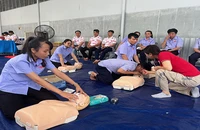 Các nhân viên y tế của Trung tâm Dịch vụ Nhân đạo tập huấn sơ cứu cho người lao động Công ty cổ phần Lương thực-Thực phẩm Colusa-Miliket