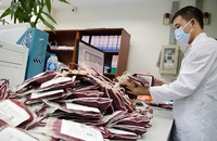 Các bác sĩ Viện Huyết học-Truyền máu Trung ương phân loại máu để hỗ trợ Bệnh viện Huyết học-Truyền máu thành phố Cần Thơ.
